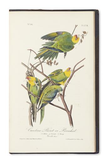 AUDUBON, JOHN JAMES. The Birds of America.